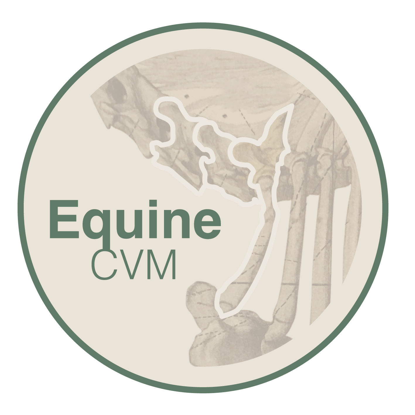Logo Equine CVM